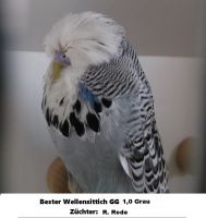 22.Zuechtertreffen004.jpg